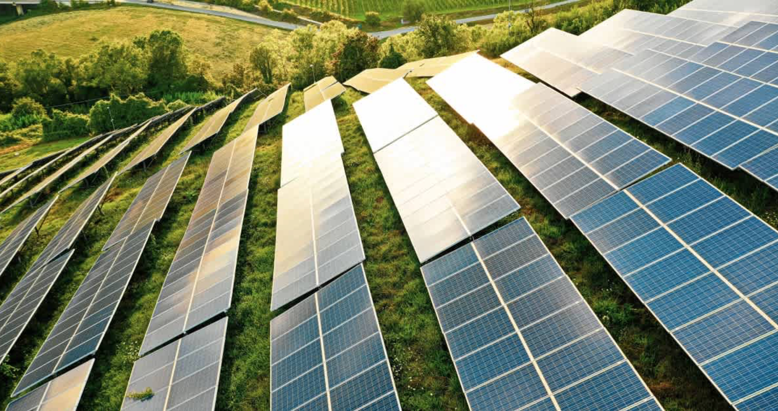 Captura de pantalla 2026-01-14 a las 11.51.28